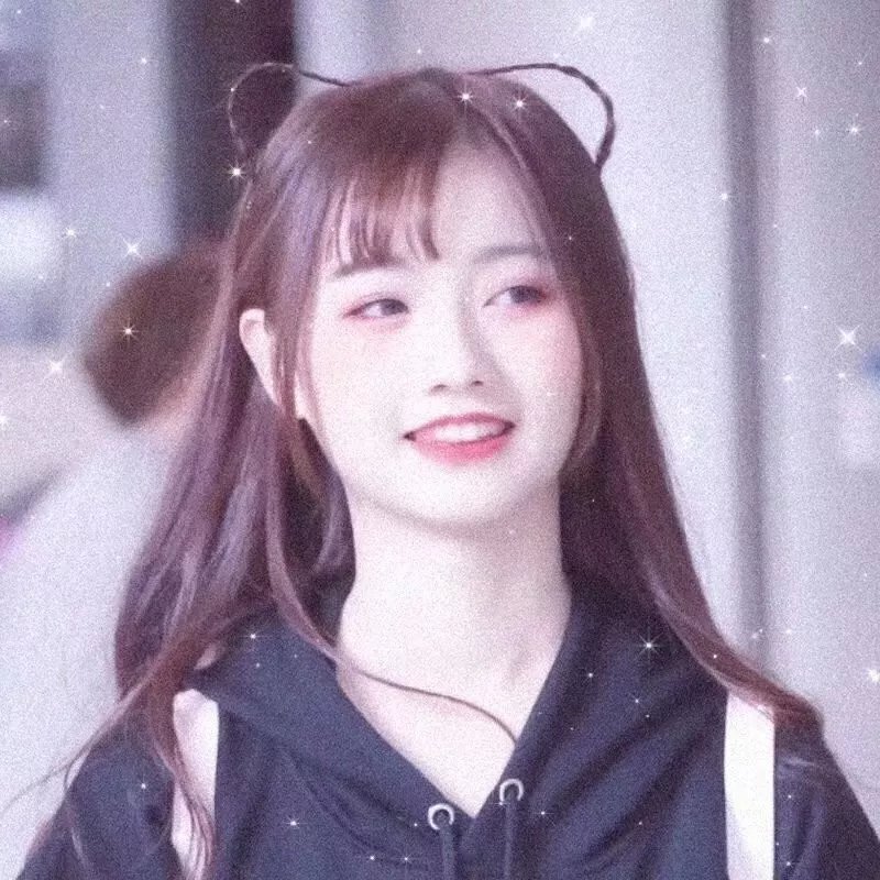 韩国泪的小花